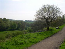 A view from the Biddulph Valley Way