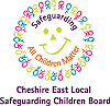The Local safeguarding children's board