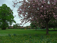 Brookfield Park in Nantwich