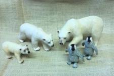 picture of arctic animals