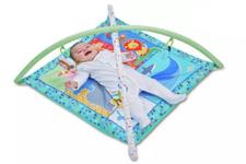 A picture of the baby gym 