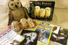 picture of the book with the props for the story 