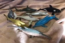 picture of sea creatures