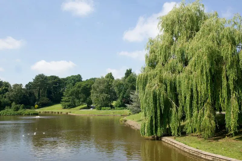 Crewe Queens Park