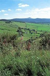 Gritstone trail