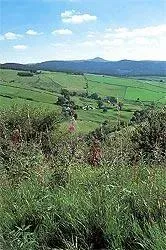 Gritstone trail