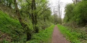 Merelake way