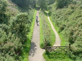 Middlewood way