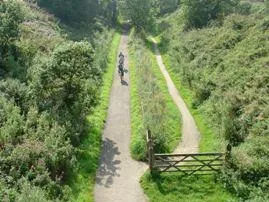 Middlewood way