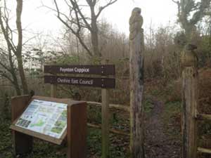 Poynton coppice
