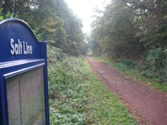 Salt Line and Borrow Pit Meadows 1