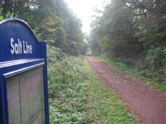 Salt Line and Borrow Pit Meadows 1