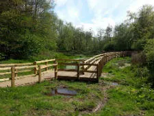 Image of path through woodland