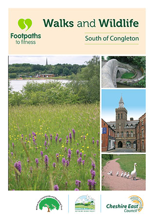 walks south congleton
