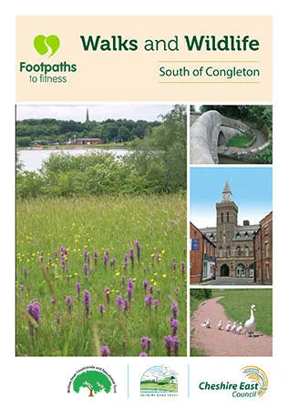 walks south congleton