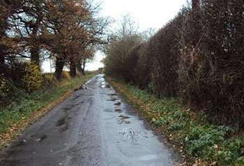 Elton-Lane-web