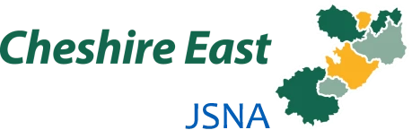 jsna logo