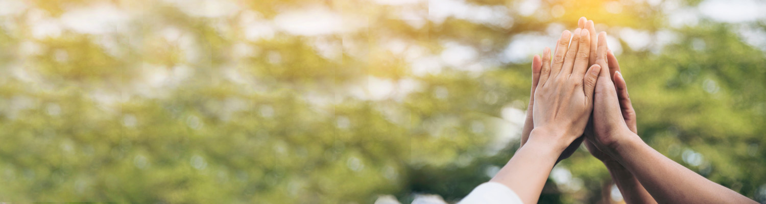 Banner image for adult social care