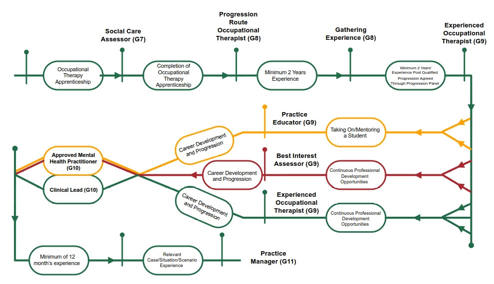 Occupational_therapist_career_pathway