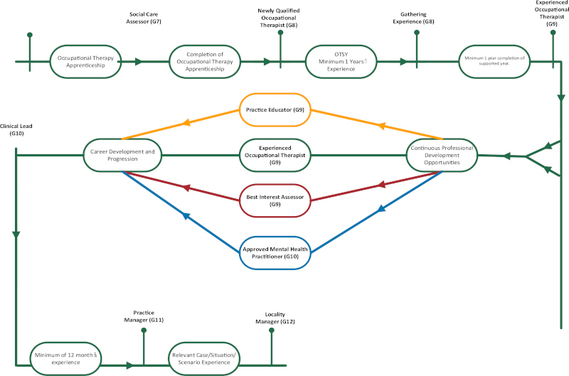 Occupatioanl therapy career pathway