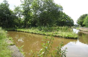 The Macclesfield canal and canal arm