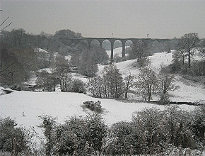 Dane-In-Shaw Pasture Site of Special Scientific Interest, in the snow