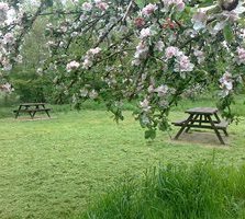 Croxton Park, Middlewich