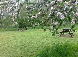 Croxton Park, Middlewich