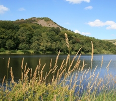 Tegg's Nose Country Park