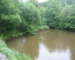 Timbersbrook Picnic Area