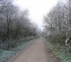 Wheelock Rail Trail