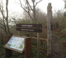 Poynton Coppice Local Nature Reserve