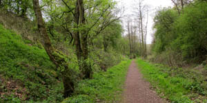 merelake way cutting