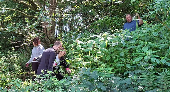Himalayan Balsam Bash at Riverside - One