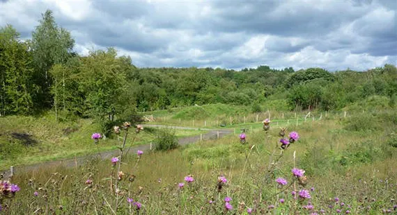 Ramble with the Rangers – Jacksons' Brickworks
