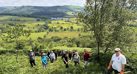 Bracken Bashing at Tegg's Nose
