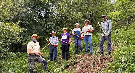 Bracken Bashing Again at Tegg's Nose