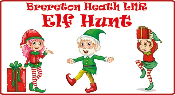 Brereton Heath Local Nature Reserve Elf Hunt