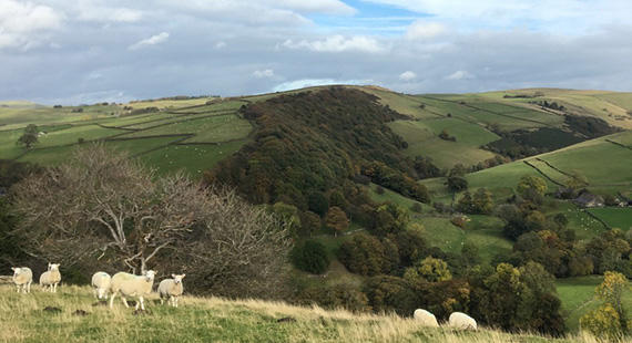 Evening Meditation and Deep Rest in Nature at Tegg's Nose - May