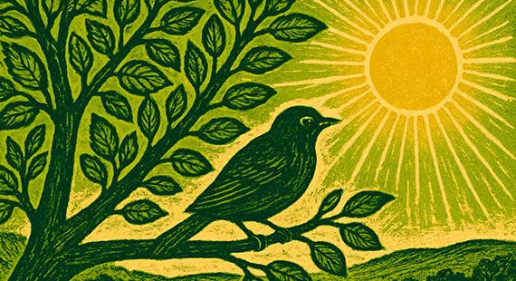 Growing Pains: a summer poetry workshop at Tegg's Nose