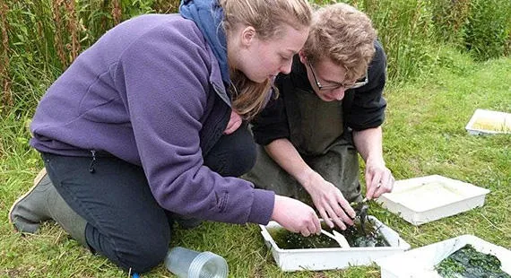Pond dipping for grown-ups - Brereton Heath Local Nature Reserve