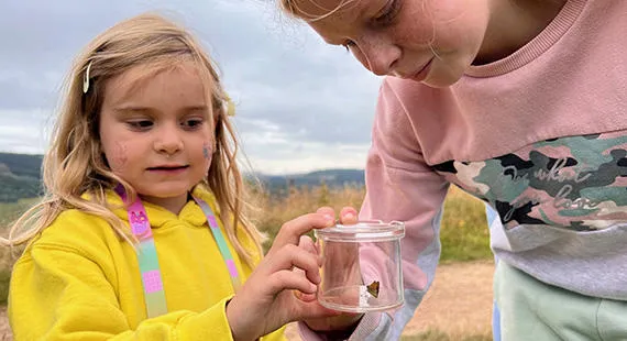 Tegg's Nose Butterfly Walk