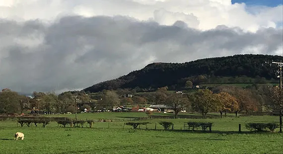 Timbersbrook Explorer