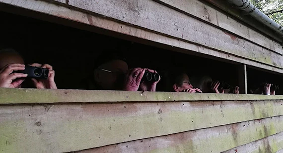 Birdwatching – Understanding Autumn Birds with Nature Stuff - Wednesdays