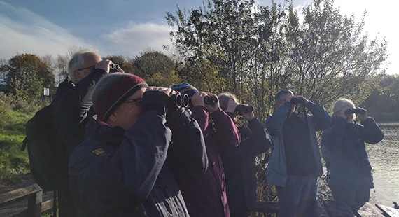 Birdwatching – Understanding More About Autumn Birds with Nature Stuff (Wednesdays)