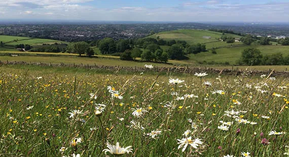 Walk with words: a Tegg's Nose stroll with writer Jo Bell