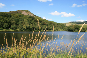 Tegg's Nose Country Park