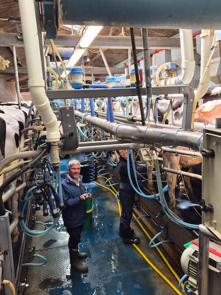 Bidlea Dairy 3