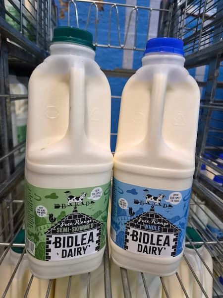 Bidlea Dairy 5