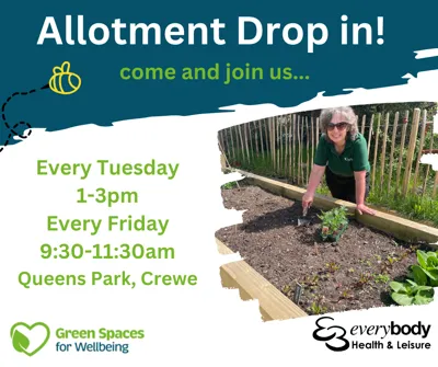 Green Spaces for Wellbeing - Rainwater harvesting system